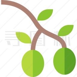 橄榄树图标