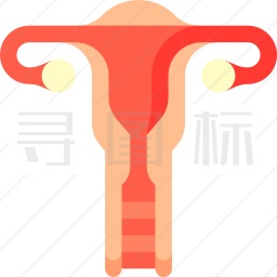 生殖系统图标