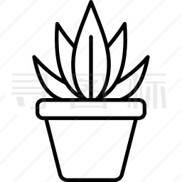 盆栽植物图标