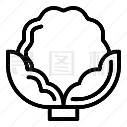 菜花图标