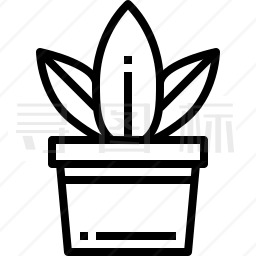 盆栽植物图标