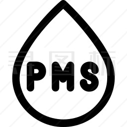 PMS图标