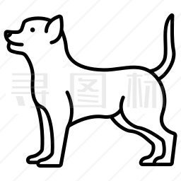 奇瓦瓦犬图标