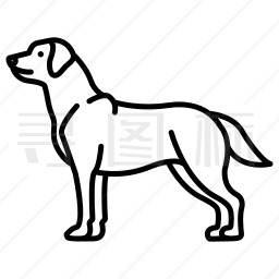 拉布拉多猎犬图标