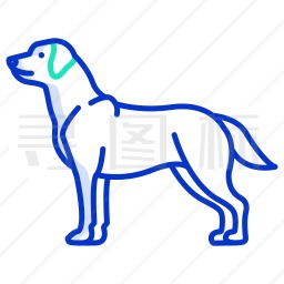 拉布拉多猎犬图标