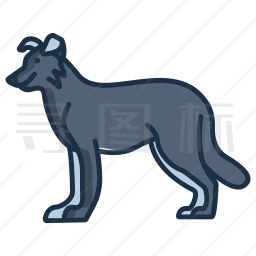 边境牧羊犬图标
