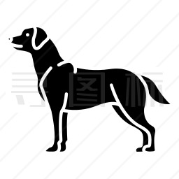 拉布拉多猎犬图标