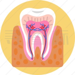 磨牙冠图标