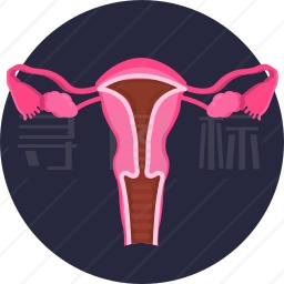 女性器官图标