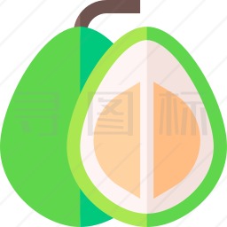 柚子图标
