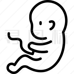 fetus图标