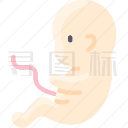 fetus图标