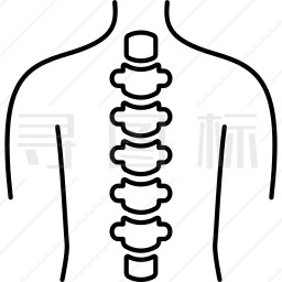 脊柱图标
