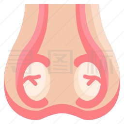 睾丸图标