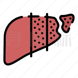 乙型肝炎图标