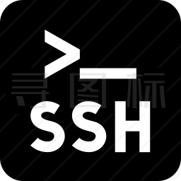 SSH图标