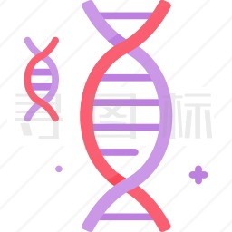 DNA结构图标