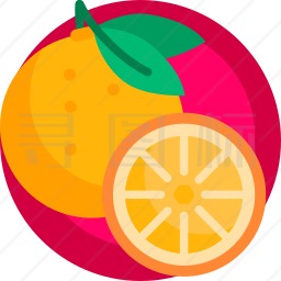 橙子图标