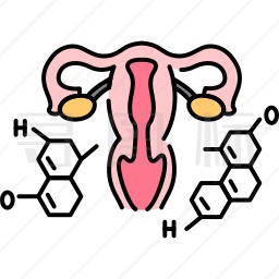 子宫图标