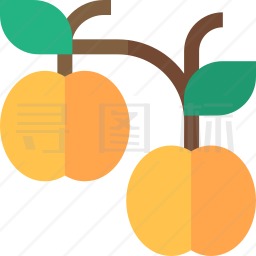 黄柿子图标