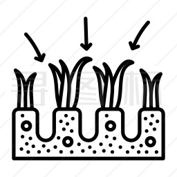 生长的植物图标
