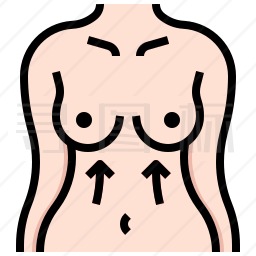 乳房图标