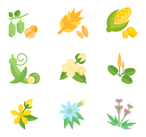 植物种子