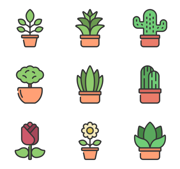 植物与Flowers图标
